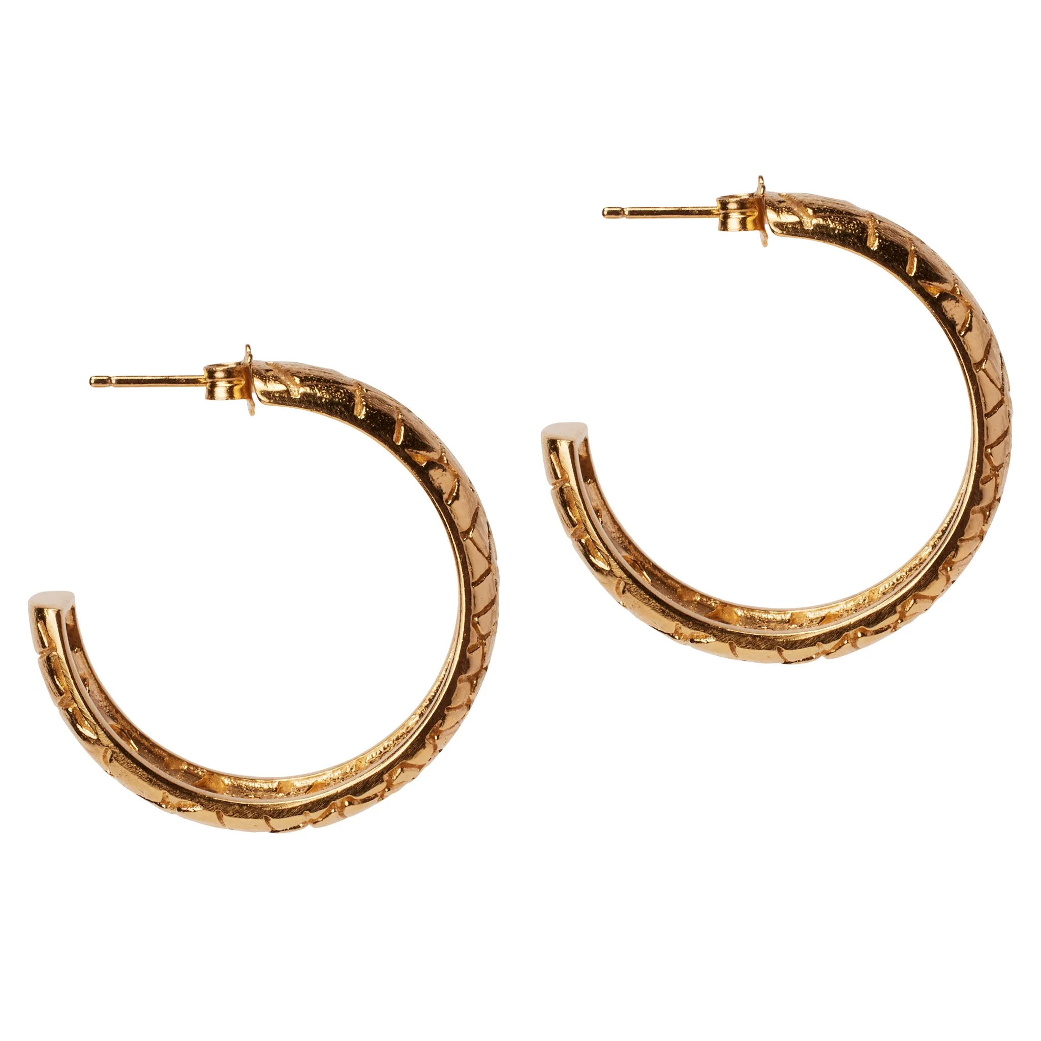 Desert Darling Earrings