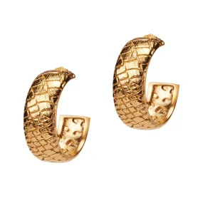 Desert Darling Earrings