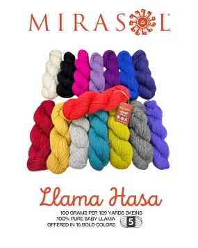 LLama HASA (B)